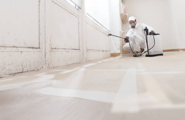 24/7 Emergency Basement Mold Remediation experts in Breezewood, PA